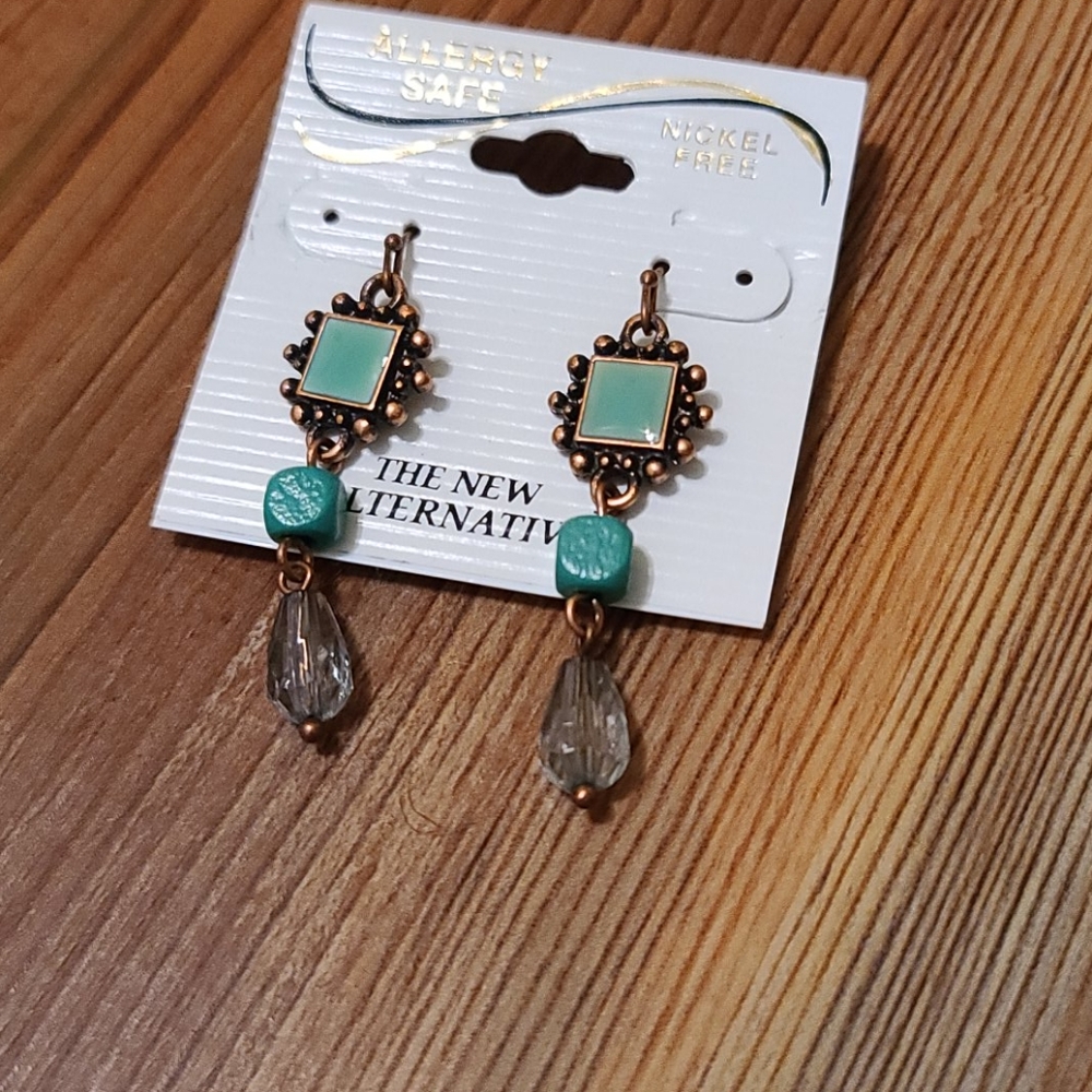 NWOT Earrings
